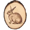 Basswood Country Rounds for Wood Burning, Hot Stamping & Carving Medium