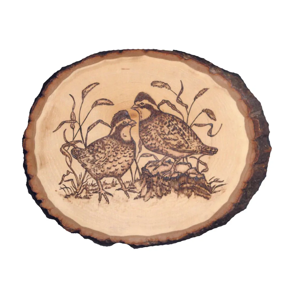 Basswood Country Rounds for Wood Burning, Hot Stamping & Carving Medium