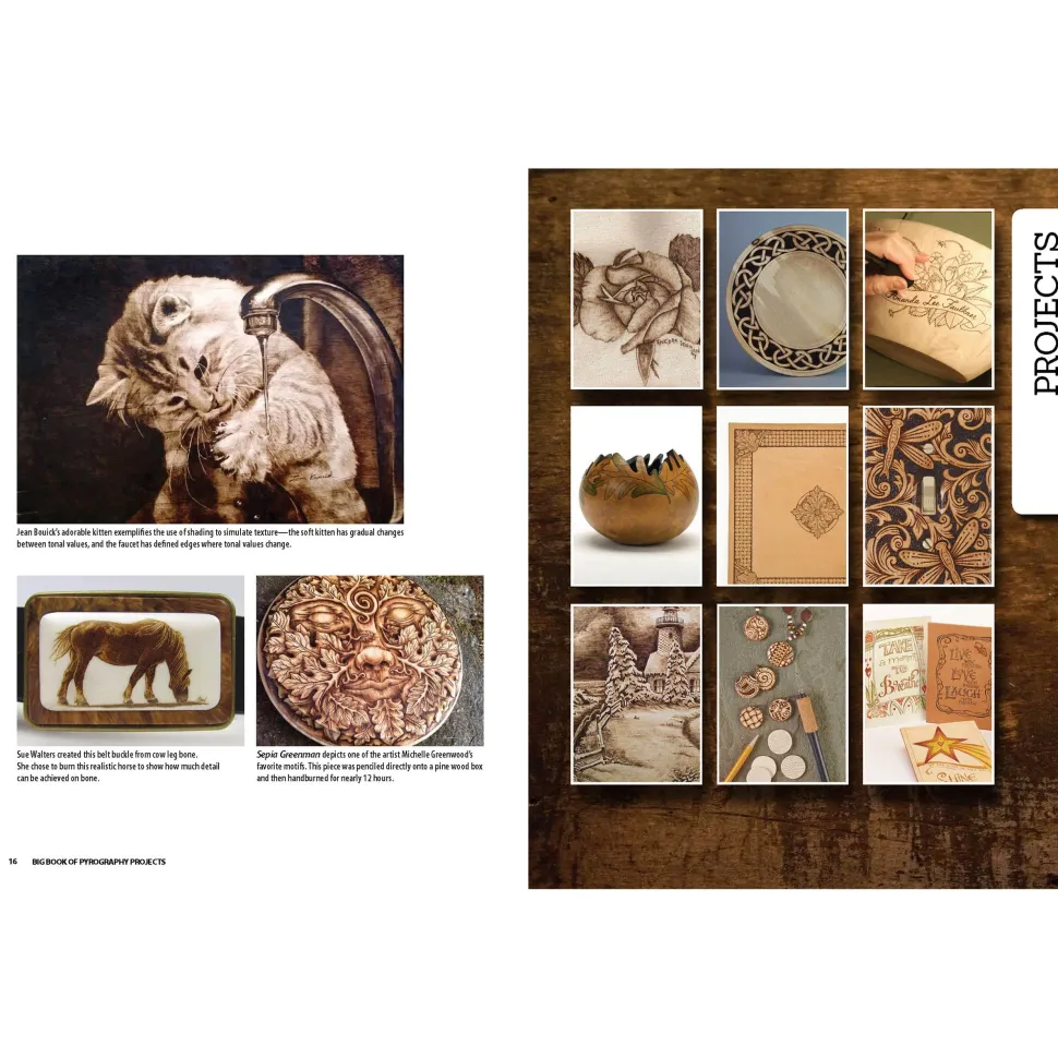 Big Book of Pyrography Projects