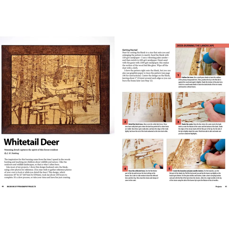 Big Book of Pyrography Projects