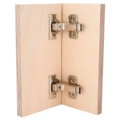 Clip Top Frameless Hinges Inset Overlay 110 Degree with BLUMOTION 1 Pair