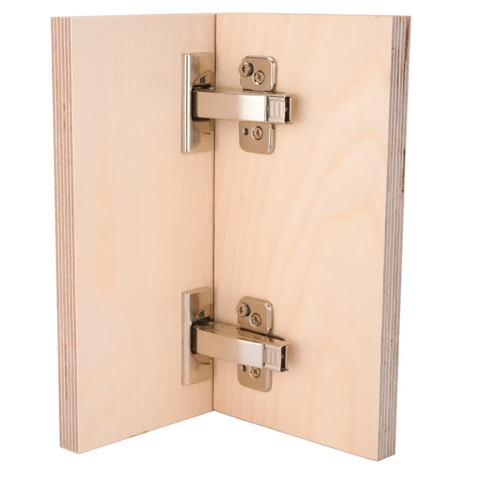 Clip Top Hinges for Frameless Cabinets Full Overlay 110 Degree with BLUMOTION 1 Pair