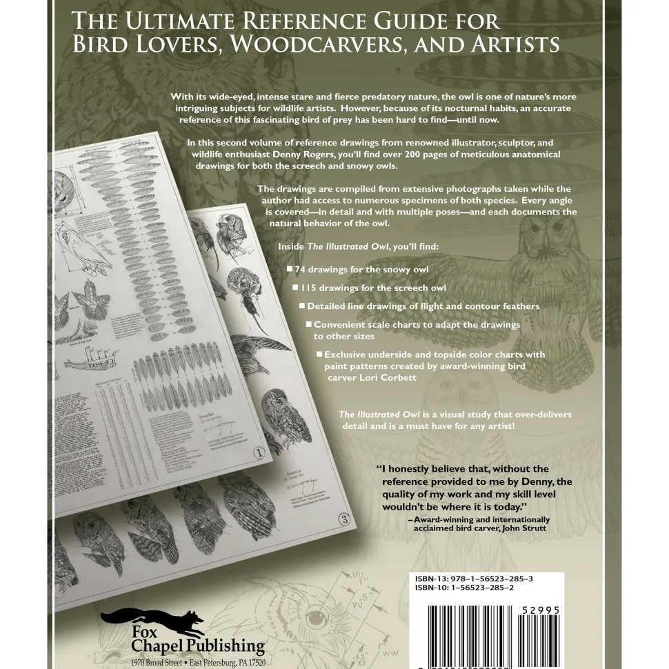 Illustrated Owl Screech & Snowy: the Ultimate Reference for Bird Lovers, Woodcarvers, and Artists