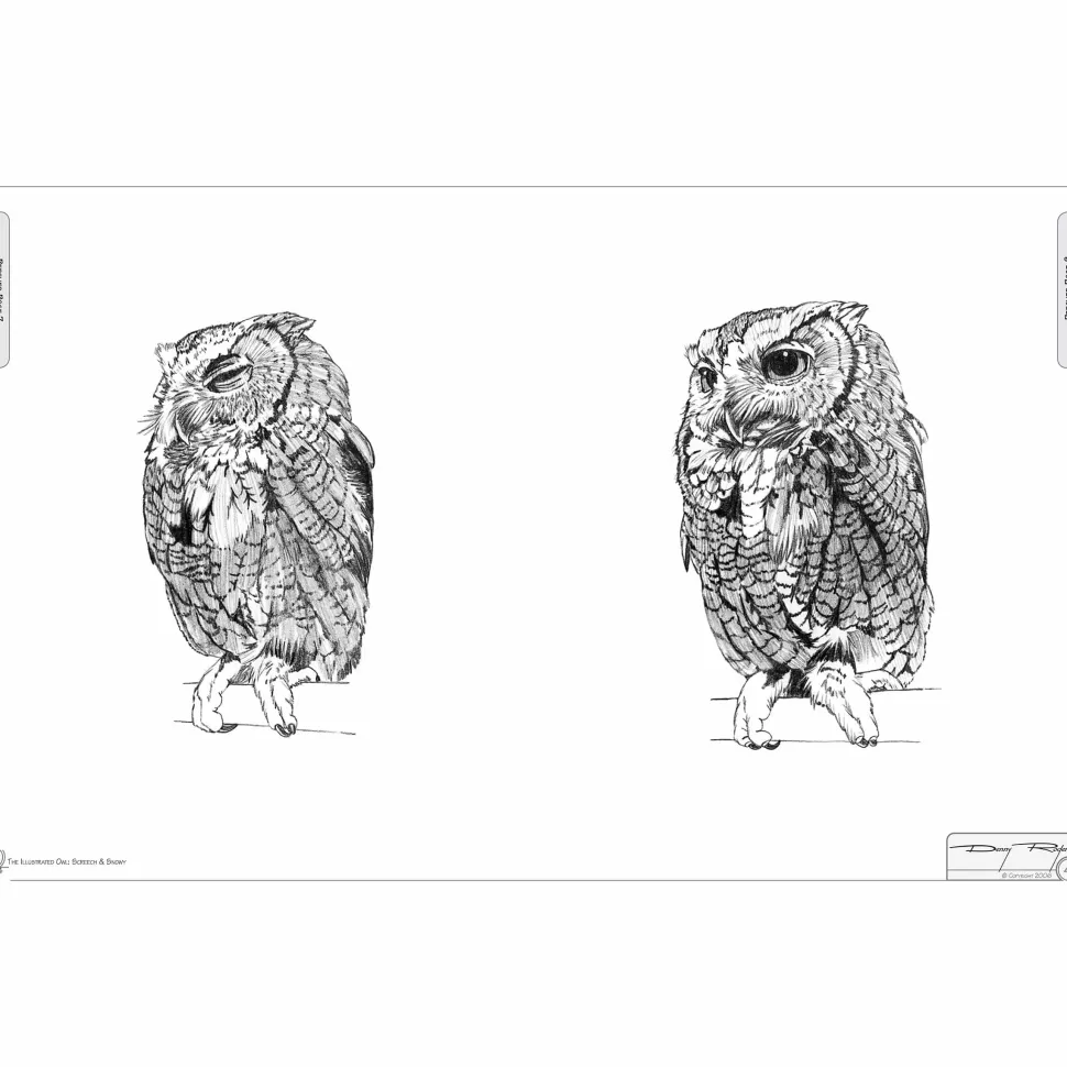 Illustrated Owl Screech & Snowy: the Ultimate Reference for Bird Lovers, Woodcarvers, and Artists