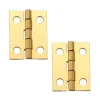 Miniature Hinge Open with Screws Pair