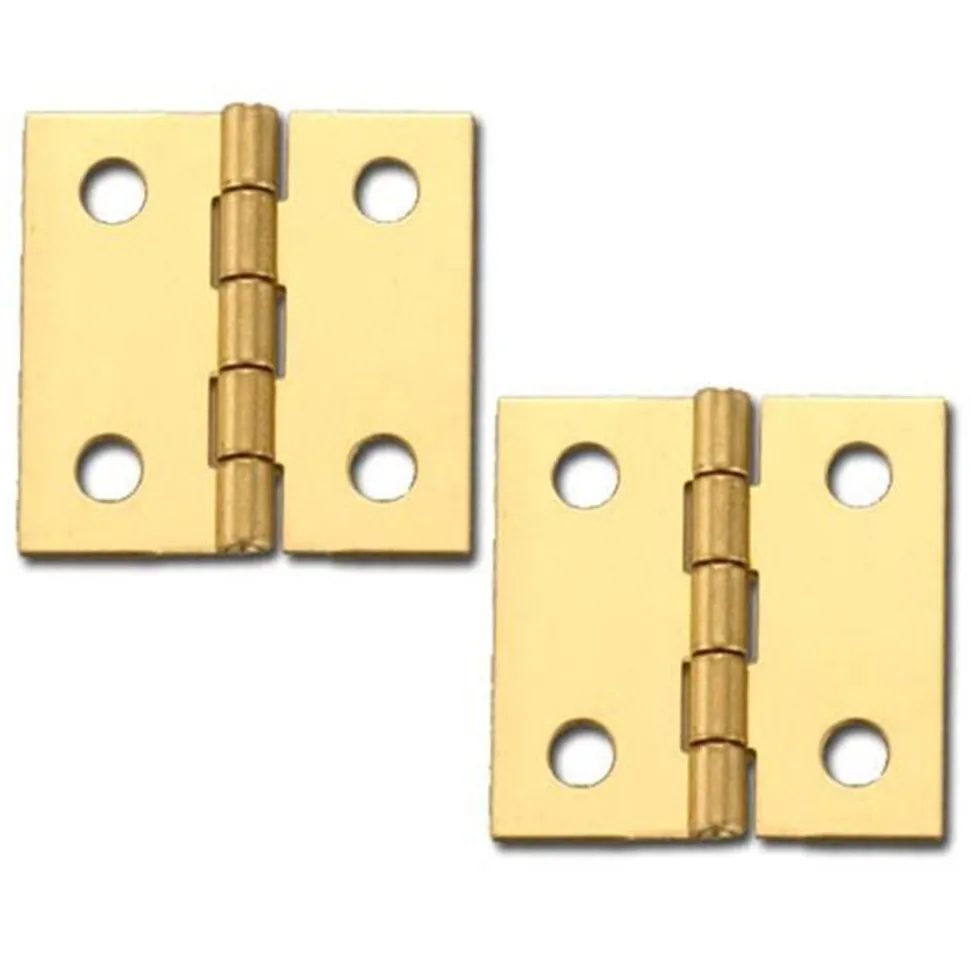 Miniature Hinge Open with Screws Pair