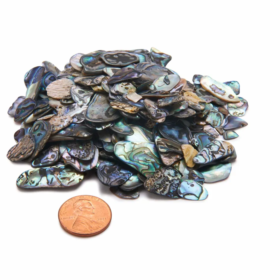 Paua Abalone Inlay Material 2 oz
