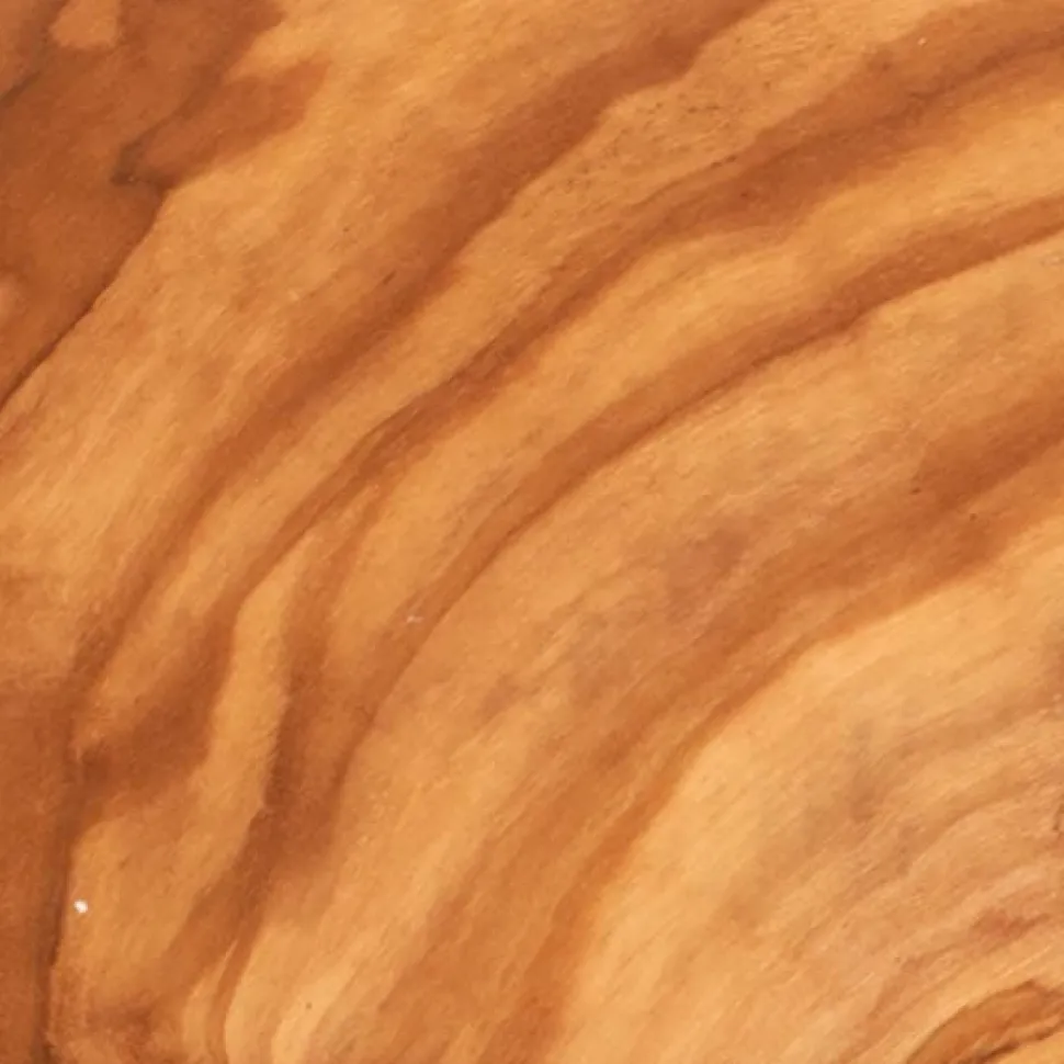Roman Olivewood Wood Turning Stock