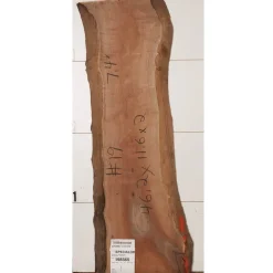 Walnut Wood Slab